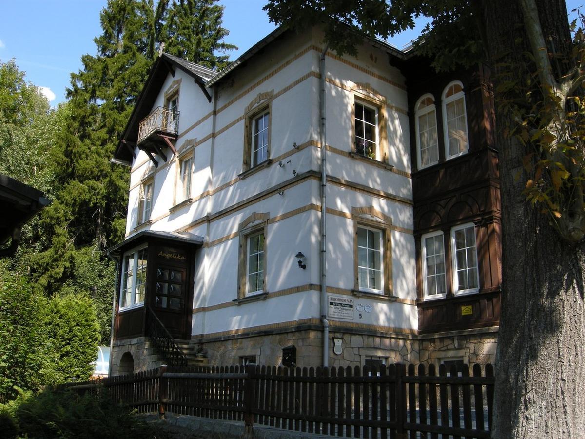 Villa Angelika Altenberg Luaran gambar